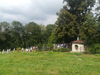 powiększ zdjęcie 