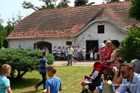 powiększ zdjęcie